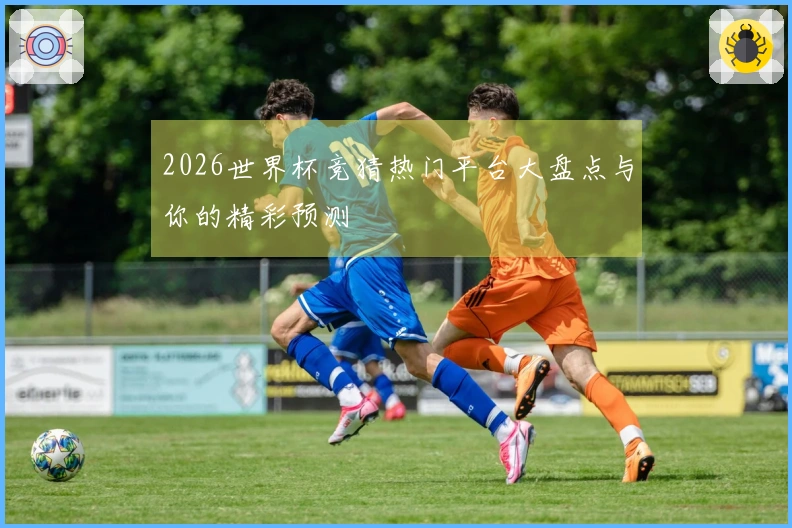 2026世界杯竞猜热门平台大盘点与你的精彩预测