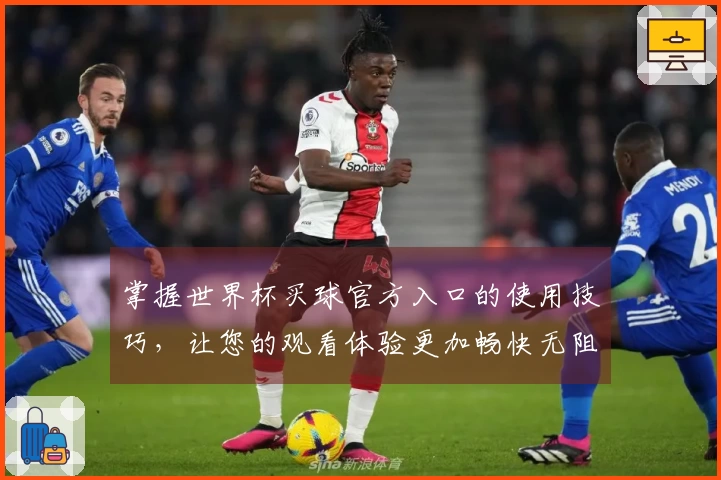 掌握世界杯买球官方入口的使用技巧，让您的观看体验更加畅快无阻