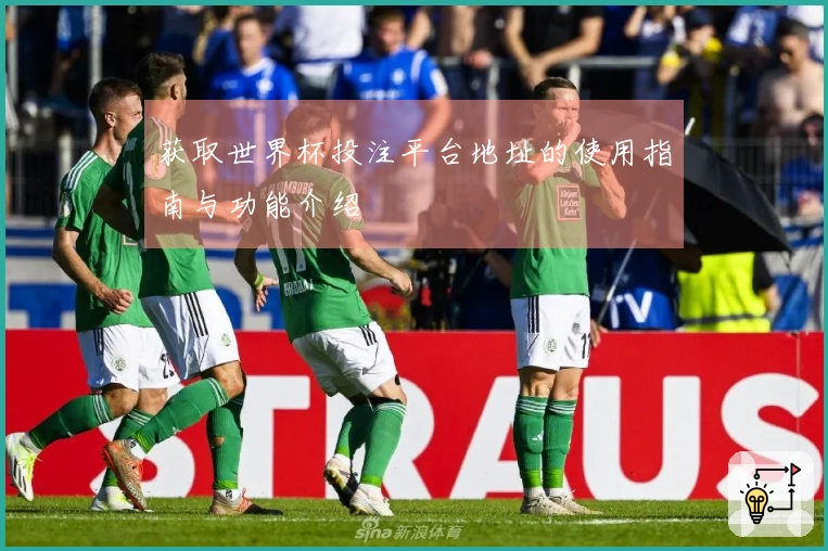 获取世界杯投注平台地址的使用指南与功能介绍