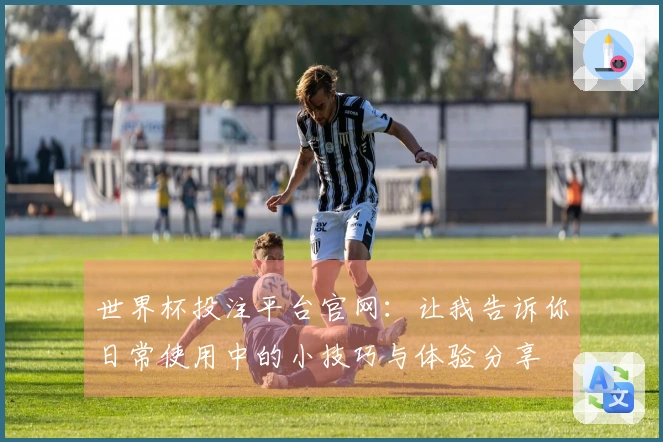 世界杯投注平台官网:让我告诉你日常使用中的小技巧与体验分享