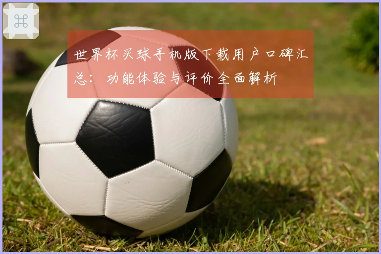 世界杯买球手机版下载用户口碑汇总：功能体验与评价全面解析