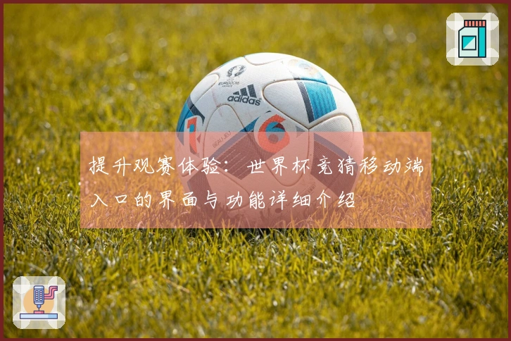 提升观赛体验：世界杯竞猜移动端入口的界面与功能详细介绍