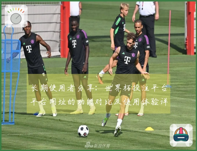 长期使用者分享：世界杯投注平台平台网址的功能对比及使用体验详解