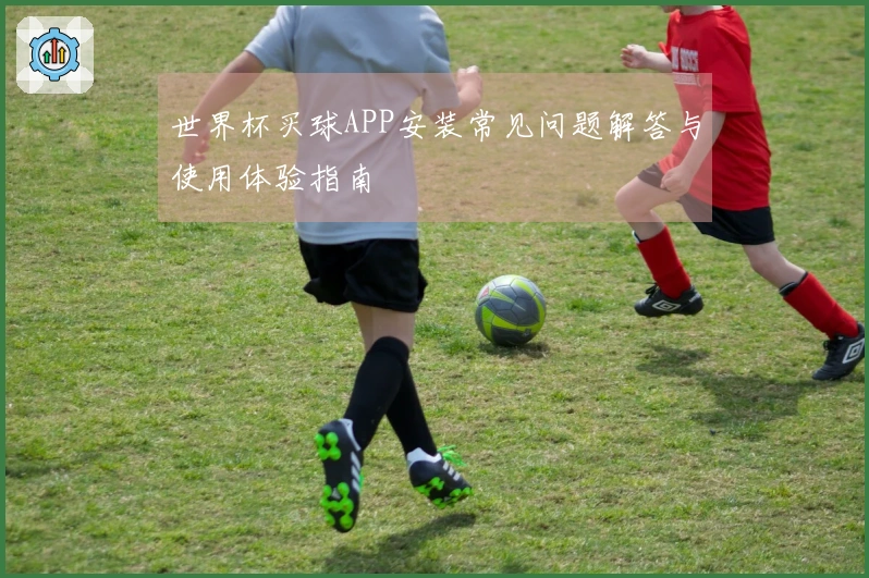 世界杯买球APP安装常见问题解答与使用体验指南