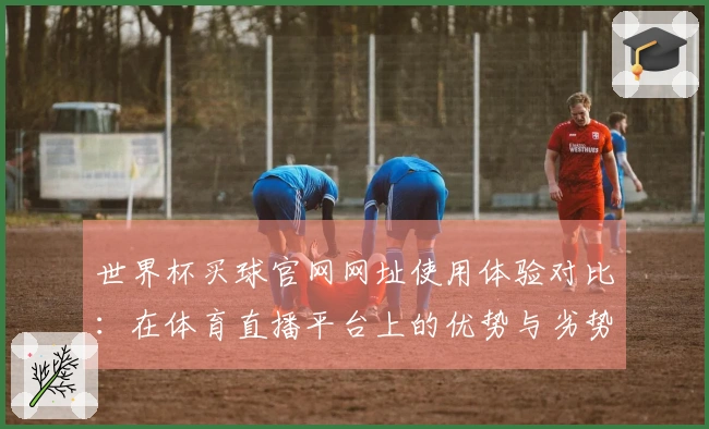 世界杯买球官网网址使用体验对比：在体育直播平台上的优势与劣势分析