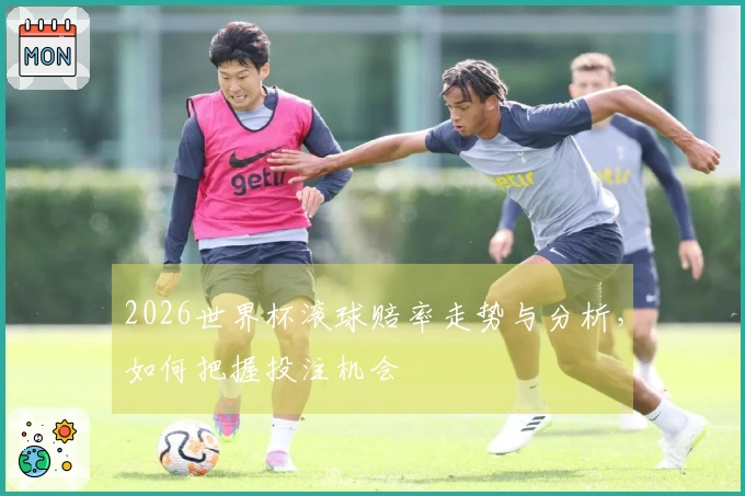 2026世界杯滚球赔率走势与分析，如何把握投注机会
