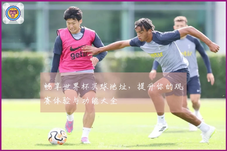 畅享世界杯买球地址，提升你的观赛体验与功能大全