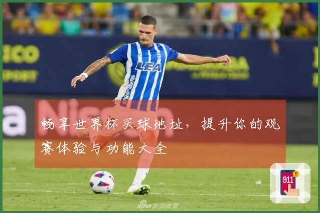 畅享世界杯买球地址,提升你的观赛体验与功能大全