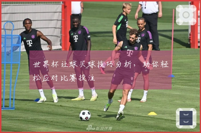 世界杯让球买球技巧分析，助你轻松应对比赛投注